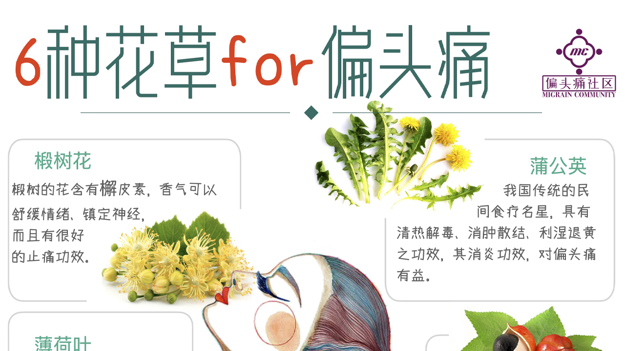 欧美偏头痛喜欢用的6种花草,送给偏头痛的疼友们!