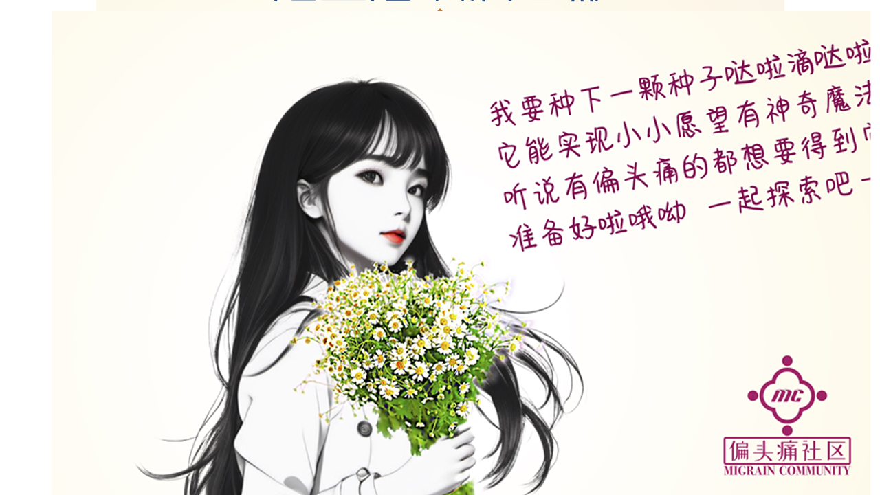 我在阳台种满小白菊把生活填满色彩