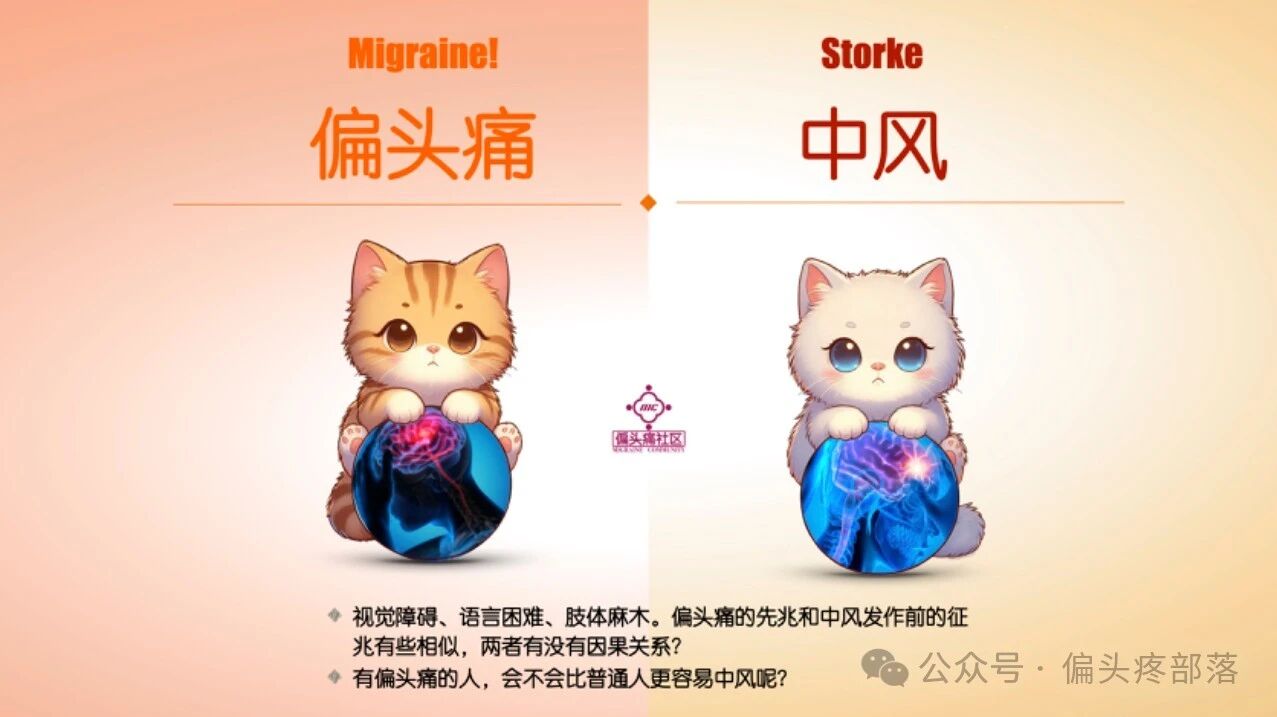 偏头痛是不是中风的高危人群?毕竟两者的征兆太相似了!