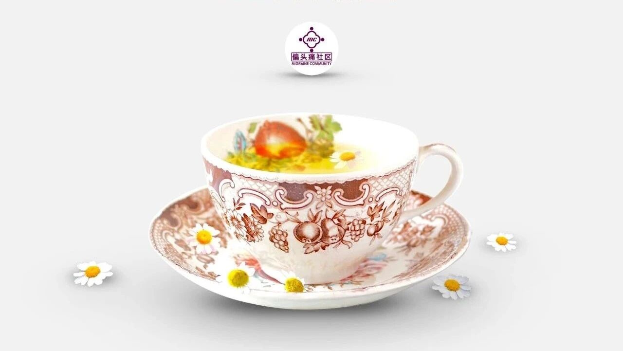小白菊的三种用法,哪种最好?