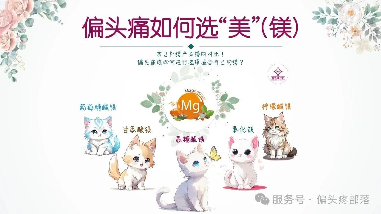 偏头痛该如何选“镁”?