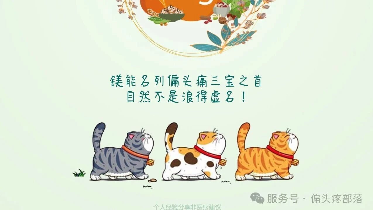 偏头痛一定要爱“镁”的理由